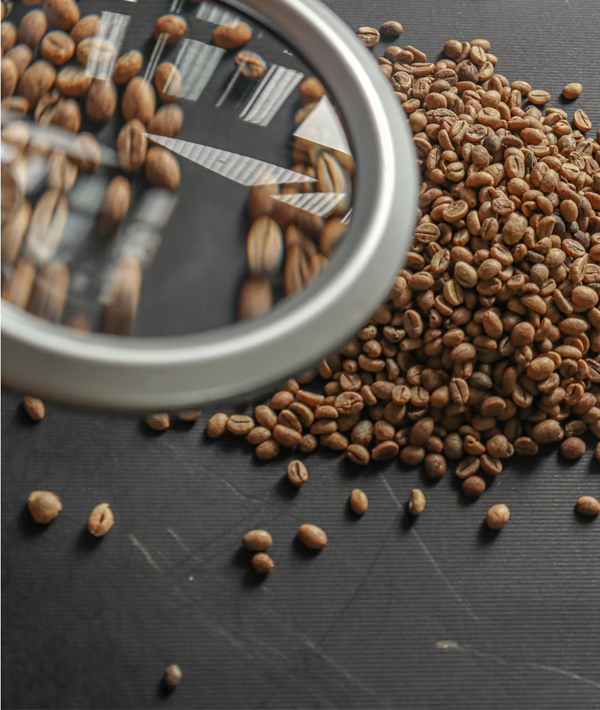 Seed production research service