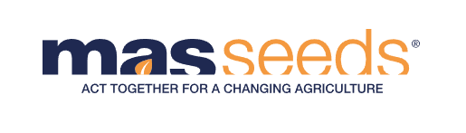 Masseeds